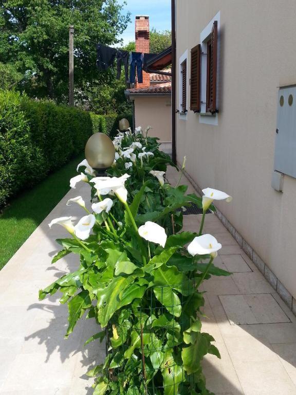 Ulika * Poreč